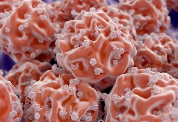 cleanroom stem cells